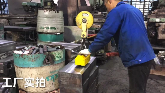 China Best 1000kg Magnetic Lifter Lifting Magnet