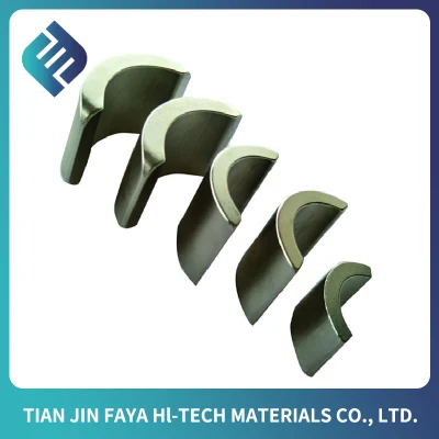 Good Price Rare Earth Sintered NdFeB Arc Magnets Permanent Magnetic Lock Assembly for Sale